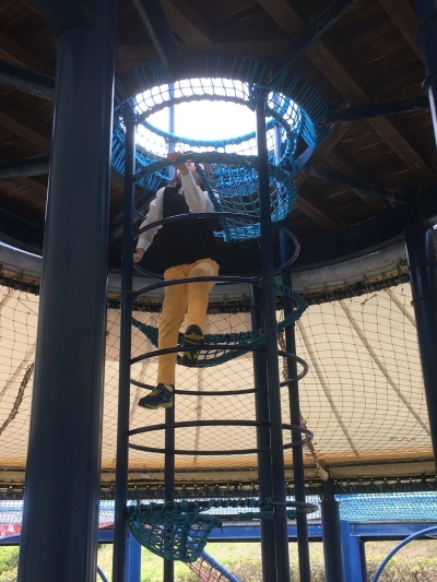 2019-05-06_11-31-55_953