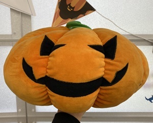 line_oa_chat_201029_110826