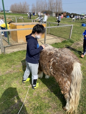 line_oa_chat_210402_184627