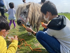 line_oa_chat_210402_184533