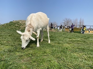 line_oa_chat_210402_184517