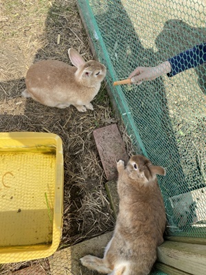 line_oa_chat_210402_184510