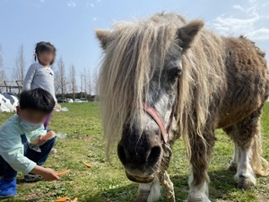 line_oa_chat_210402_184507