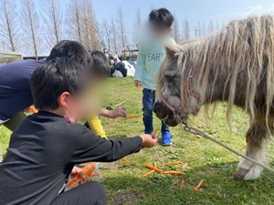 line_oa_chat_210402_165756