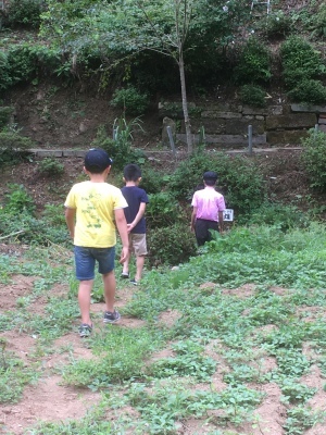 2021-08-09_13-39-07_539