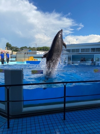 2021-08-27_08-35-40_154