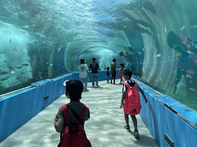 2022-08-05_13-31-09_770