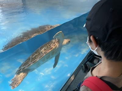 2022-08-05_13-34-50_158