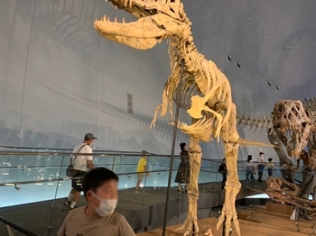 2022-08-26_14-08-22_851