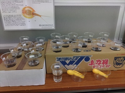 シーモンスター②