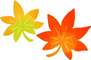 kouyou