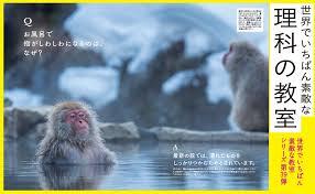ダウンロード (1)