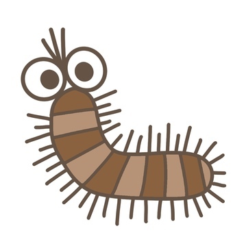 KEMUSI