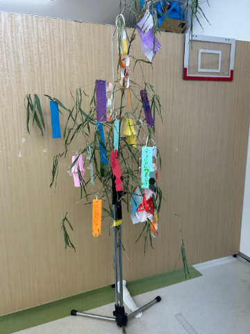 line_oa_chat_260706_130216 (1)